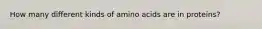 How many different kinds of amino acids are in proteins?
