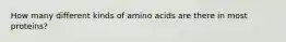 How many different kinds of amino acids are there in most proteins?