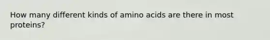 How many different kinds of amino acids are there in most proteins?