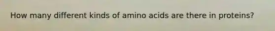How many different kinds of amino acids are there in proteins?