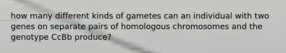 how many different kinds of gametes can an individual with two genes on separate pairs of homologous chromosomes and the genotype CcBb produce?