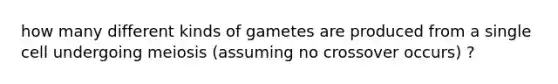 how many different kinds of gametes are produced from a single cell undergoing meiosis (assuming no crossover occurs) ?