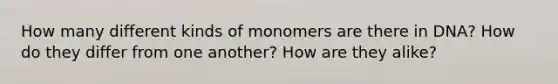 How many different kinds of monomers are there in DNA? How do they differ from one another? How are they alike?