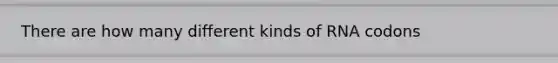 There are how many different kinds of RNA codons