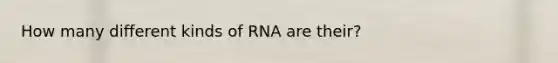 How many different kinds of RNA are their?