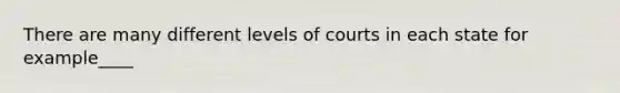 There are many different levels of courts in each state for example____