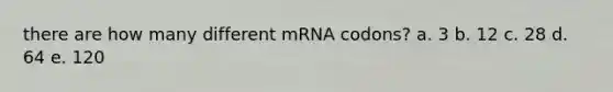 there are how many different mRNA codons? a. 3 b. 12 c. 28 d. 64 e. 120