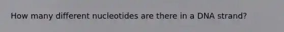 How many different nucleotides are there in a DNA strand?