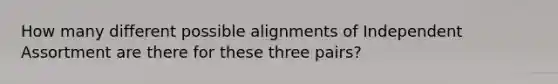 How many different possible alignments of Independent Assortment are there for these three pairs?