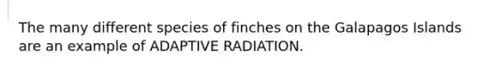 The many different species of finches on the Galapagos Islands are an example of ADAPTIVE RADIATION.