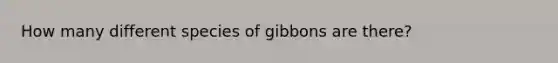 How many different species of gibbons are there?