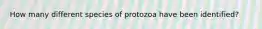 How many different species of protozoa have been identified?