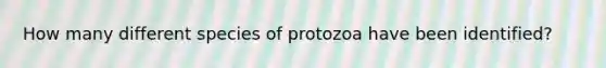 How many different species of protozoa have been identified?