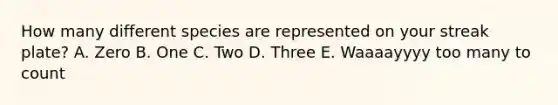 How many different species are represented on your streak plate? A. Zero B. One C. Two D. Three E. Waaaayyyy too many to count