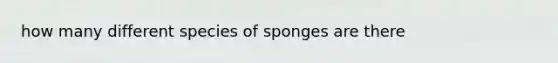 how many different species of sponges are there