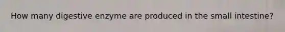 How many digestive enzyme are produced in <a href='https://www.questionai.com/knowledge/kt623fh5xn-the-small-intestine' class='anchor-knowledge'>the small intestine</a>?