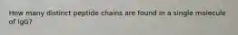 How many distinct peptide chains are found in a single molecule of IgG?