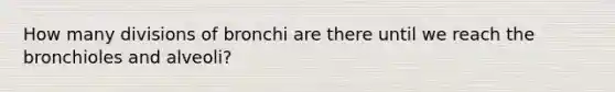 How many divisions of bronchi are there until we reach the bronchioles and alveoli?