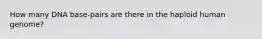 How many DNA base-pairs are there in the haploid human genome?