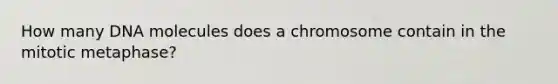 How many DNA molecules does a chromosome contain in the mitotic metaphase?