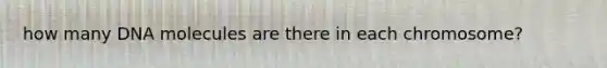 how many DNA molecules are there in each chromosome?