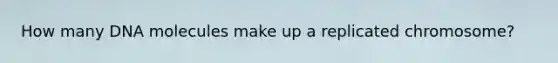 How many DNA molecules make up a replicated chromosome?
