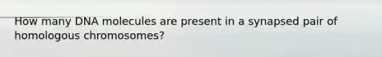 How many DNA molecules are present in a synapsed pair of homologous chromosomes?