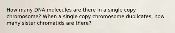 How many DNA molecules are there in a single copy chromosome? When a single copy chromosome duplicates, how many sister chromatids are there?