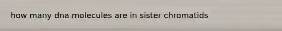 how many dna molecules are in sister chromatids