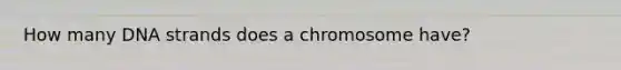 How many DNA strands does a chromosome have?