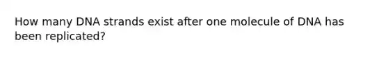 How many DNA strands exist after one molecule of DNA has been replicated?