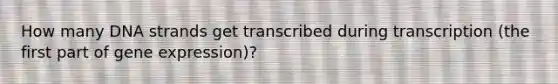 How many DNA strands get transcribed during transcription (the first part of gene expression)?