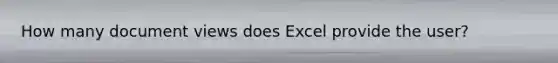 How many document views does Excel provide the user?