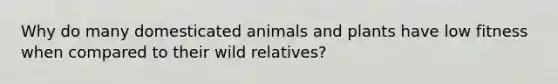 Why do many domesticated animals and plants have low fitness when compared to their wild relatives?