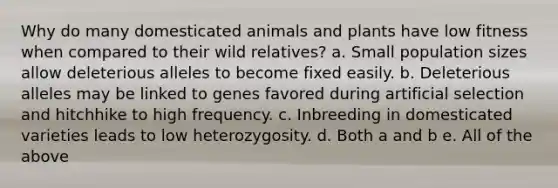 Why do many domesticated animals and plants have low fitness when compared to their wild relatives? a. Small population sizes allow deleterious alleles to become fixed easily. b. Deleterious alleles may be linked to genes favored during artificial selection and hitchhike to high frequency. c. Inbreeding in domesticated varieties leads to low heterozygosity. d. Both a and b e. All of the above