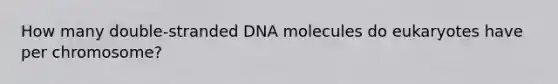 How many double-stranded DNA molecules do eukaryotes have per chromosome?