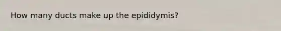 How many ducts make up the epididymis?