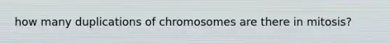 how many duplications of chromosomes are there in mitosis?