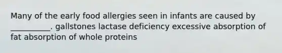 Many of the early food allergies seen in infants are caused by __________. gallstones lactase deficiency excessive absorption of fat absorption of whole proteins