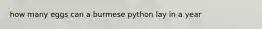 how many eggs can a burmese python lay in a year