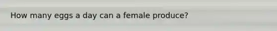 How many eggs a day can a female produce?