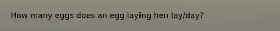 How many eggs does an egg laying hen lay/day?
