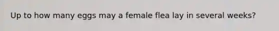 Up to how many eggs may a female flea lay in several weeks?