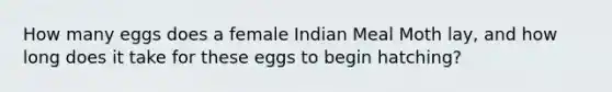 How many eggs does a female Indian Meal Moth lay, and how long does it take for these eggs to begin hatching?