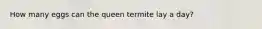 How many eggs can the queen termite lay a day?