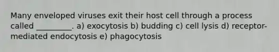 Many enveloped viruses exit their host cell through a process called _________. a) exocytosis b) budding c) cell lysis d) receptor-mediated endocytosis e) phagocytosis