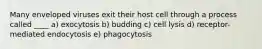 Many enveloped viruses exit their host cell through a process called ____ a) exocytosis b) budding c) cell lysis d) receptor-mediated endocytosis e) phagocytosis