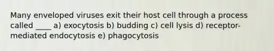 Many enveloped viruses exit their host cell through a process called ____ a) exocytosis b) budding c) cell lysis d) receptor-mediated endocytosis e) phagocytosis