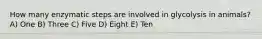 How many enzymatic steps are involved in glycolysis in animals? A) One B) Three C) Five D) Eight E) Ten