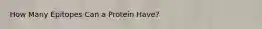 How Many Epitopes Can a Protein Have?
